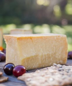 Swiss Aged Amy 2